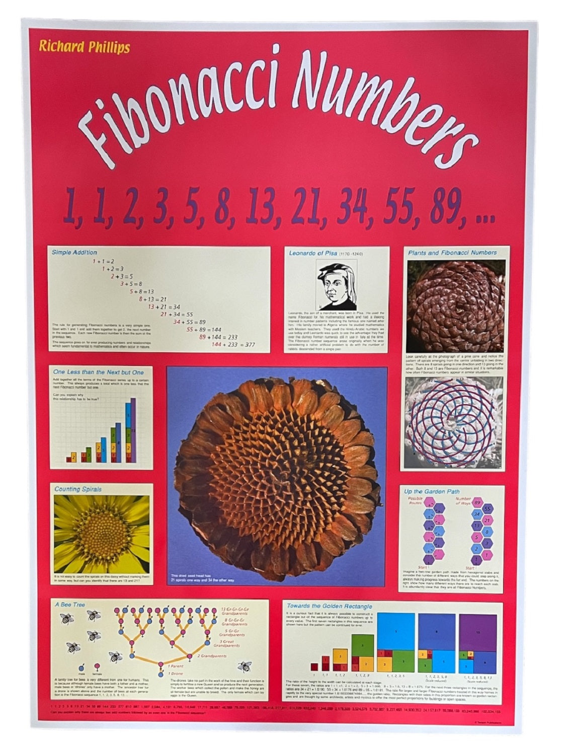 Fibonacci Numbers Poster