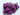 Blank dice in purple - writeable - 14mm or 16mm 