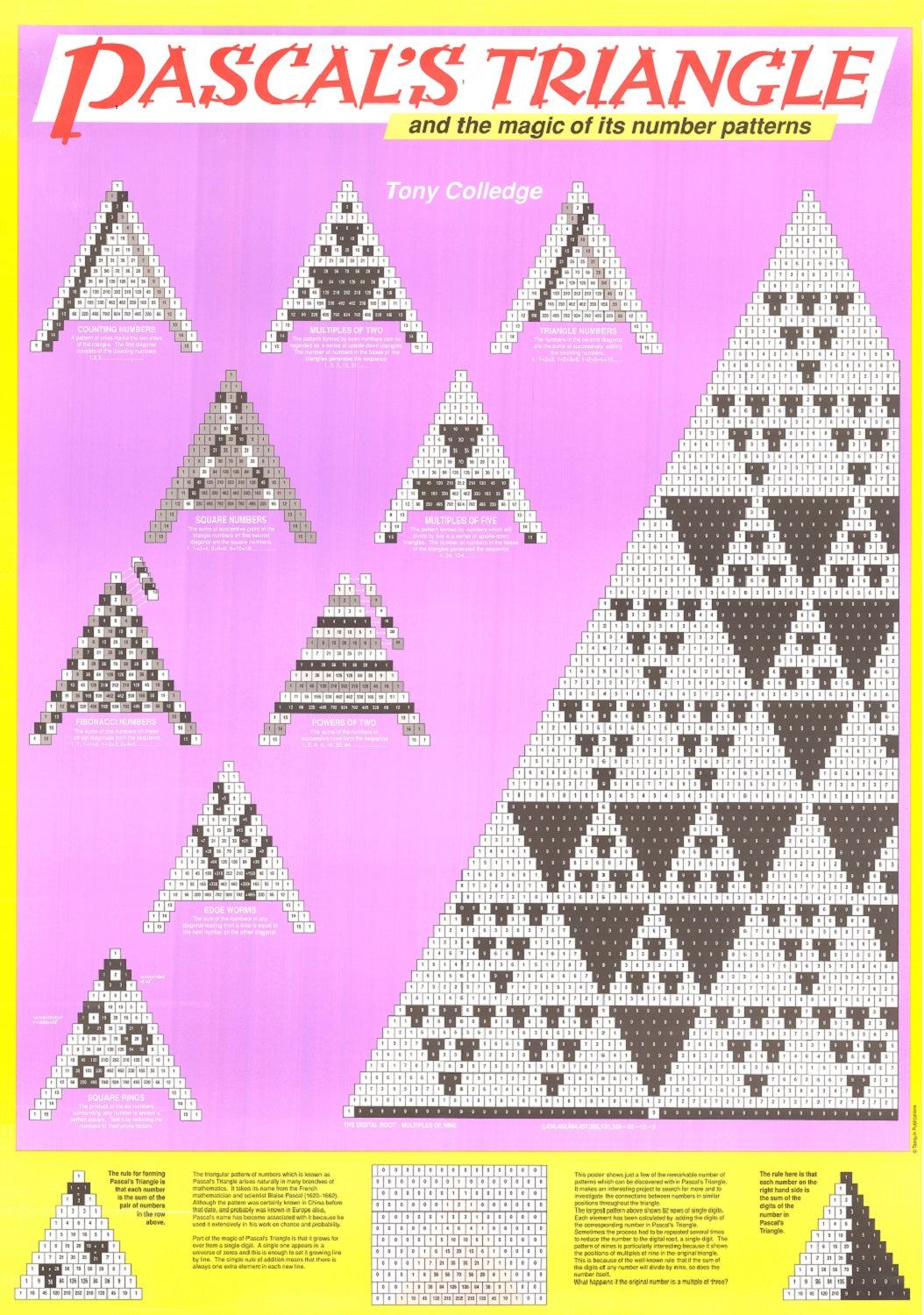 Pascal's Triangle Large Mathematics Poster – TarquinGroup