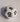 D12 12 sided dice in white